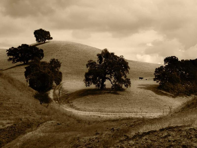 android screenshot 6