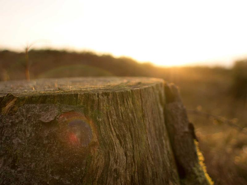 feedback screenshot 6